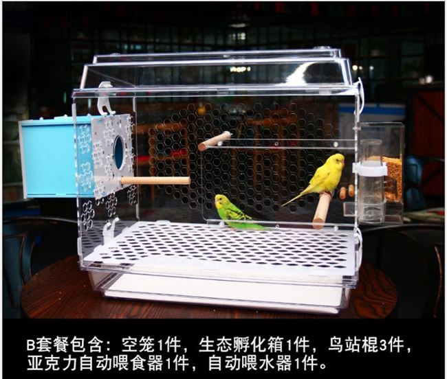 虎皮鹦鹉透明繁殖箱
