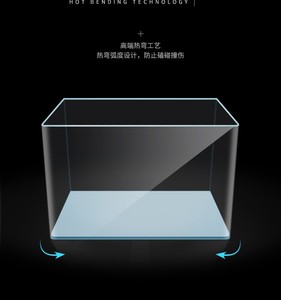 卖菠萝玻璃e缸菠萝泡盐r水桌面长方形透明装菠萝玻璃箱容器菠萝摆