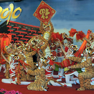 新款儿童小老虎衣服表演服虎娃娃虎妞动物话剧卡通套装舞蹈表演m