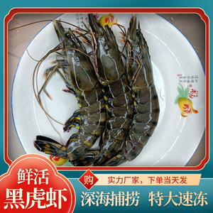 【博海惠鲜】黑虎虾基围虾鲜活对虾超大海鲜水产火锅 12条/盒3-4