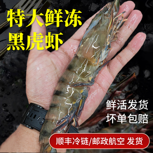 黑虎虾超大新鲜生腌速冻大虾鲜活虎虾特大海鲜水产罗氏虾黑鳌虾