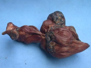 天然树根 手o玩象形木 疙瘩 i血龙果 血龙木 根雕根艺 树瘤摆件80