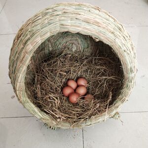 母鸡窝草编下蛋窝特大号猫窝防侧翻草编鸡窝鸽子窝手工编织稻草窝