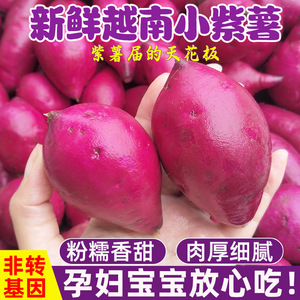 越南小紫薯珍珠板栗紫薯当季新鲜蔬菜红紫色糖心红薯整箱包邮5斤
