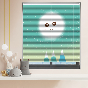 印花百叶窗帘儿童房浴室卫生间厕所防水遮光智能升降卷帘免打孔