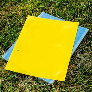 蚊纸01张苍蝇贴粘蝇纸占仓蝉蝇纸粘苍奢华