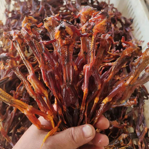 农家自制腊味烟熏田鸡干青蛙干腊牛蛙干湖南省特产熏腊肉蛙肉干货