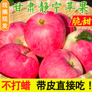 甘肃静宁红富士苹果新鲜现摘脆甜当季水果2022年新苹果5斤包邮
