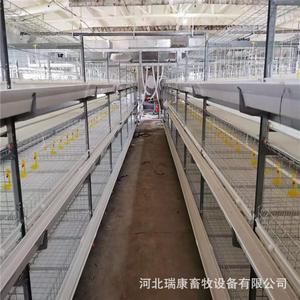 生产全自动肉鸡笼 层叠式 框架肉鸡笼养殖设备 常年出口 现货