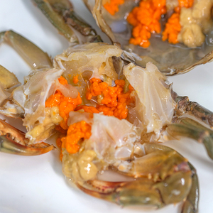 joly服务淘宝野生和乐蟹海南特产大红膏蟹母蟹红鲟青蟹肉蟹公母超值