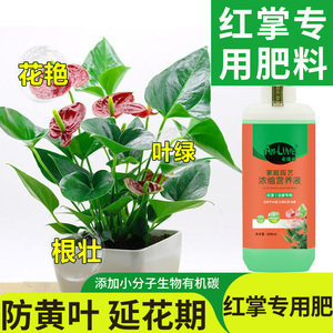 专用营养液家用白掌红掌鸿运当头养花肥料盆栽土水培通用400人付款12