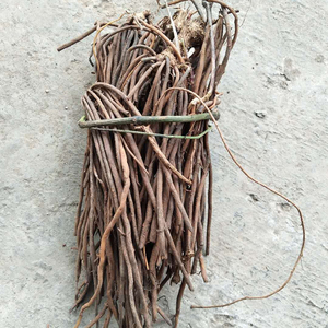 广西威灵仙野生正品铁扫帚干货非东北铁线莲中药材一把锁500g包邮