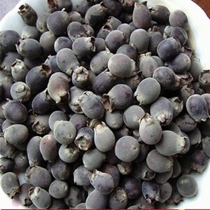 捻子果 新鲜山捻子岗捻子山菍子干果山稔果新货豆稔果泡酒500g包