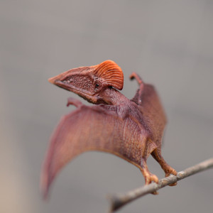 德国schleich思乐飞龙翼龙风神翼龙恐龙模型新款玩具男孩女孩