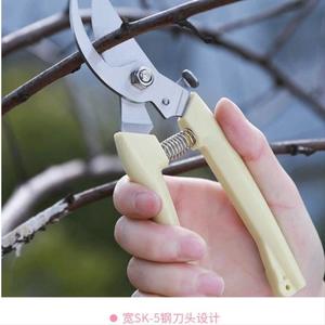 大力剪树木粗枝剪桑剪刀老式嫁接果树花园树苗桑树大号苗木强力摘