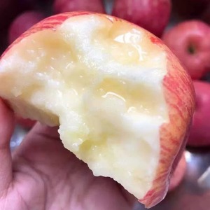 甘肃天水秦安苹果应当季新鲜水果静宁红富士脆甜糖心整箱5/10斤