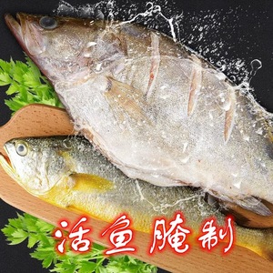 【3条】臭鳜鱼臭桂鱼新鲜腌制净膛8两-1.2斤真空包装正宗黄山WDFE