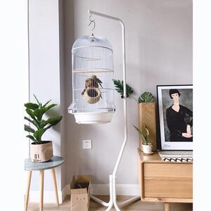 新品养殖笼门铁丝圆形笼s哥笼红嘴山鸦鹦鹉八外挂特鸟铁大笼鸟笼