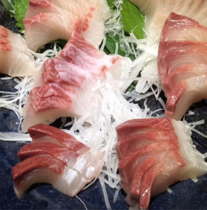 天津闪送 鲜活章红鱼 新鲜油红甘鱼黄狮鱼生鲜海鱼刺身500g