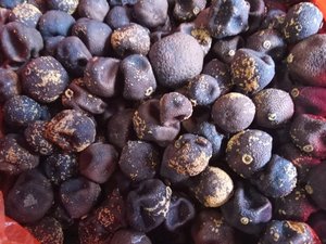 马丁堂八十年代留存至今南丰蜜桔特级小青柑胎500克一斤装