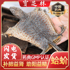 蛤 蚧干货定喘一对大蚧蛤干补肺益肾gejie哈蛤蚧丸粉泡酒中药饮片