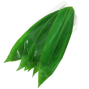 粽子叶新鲜大号粽叶家用箬叶真空粽叶干竹棕叶包粽子的叶子新商用