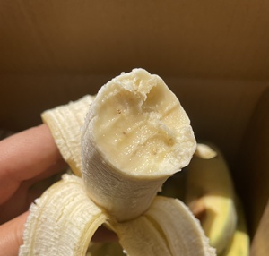 高山芭蕉云南元江软糯香甜香蕉纯天然不打药不催熟5斤顺丰