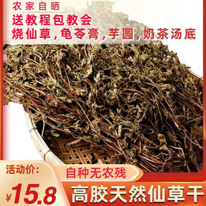 仙草干烧仙草冻黑凉粉草500g正宗仙人粄草龟苓膏烧仙草粉新鲜草干