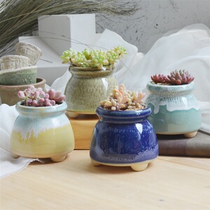 小奶罐花盆种养多肉植物的牛奶罐网红陶瓷单个号控型组合创意个性