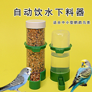 鹦鹉专用饮水器鸟用喂水器自动喝水神器下料器芦丁鸡玄凤喂食器盒