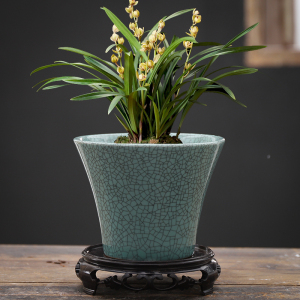 哥窑兰花盆君子兰带托盘兰草盆景陶瓷盆栽室内客厅蝴蝶兰花专用盆