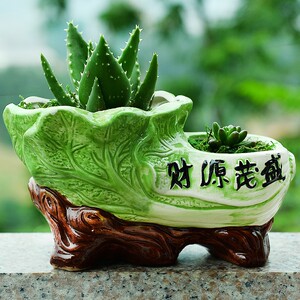 双口陶瓷花盆不含植物单独的盆发财树苗多肉花盆彩绘陶瓷花盆