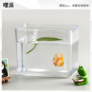 泰国斗鱼鱼缸新款办公室桌面专用小型亚克力生态积木盒小虾仿玻璃