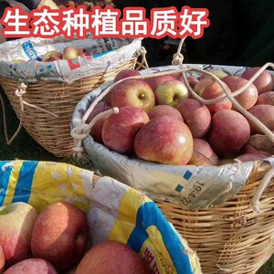 四川大凉山丑苹果盐源冰糖心新鲜水果高原红富士同城10斤农产品