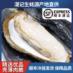 湛江生蚝鲜活生蚝10斤牡蛎活鲜海蛎子带箱新鲜海鲜水产包邮