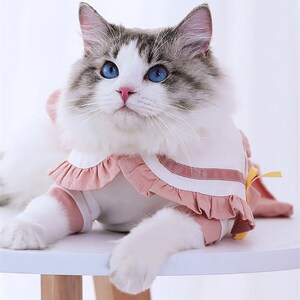 猫咪的小衣服夏季公猫薄款两个月防脱毛用品夏天轻w薄泰迪狗狗公