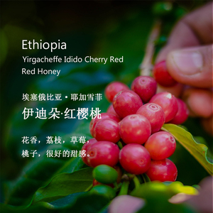 咖啡豆埃塞俄比亚耶加雪菲伊迪朵红樱桃红蜜处理轻度烘焙230g袋装