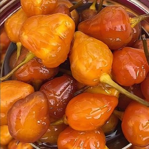 【广西五彩椒下饭菜】广西五彩椒下饭菜品牌,价格 - 阿里巴巴