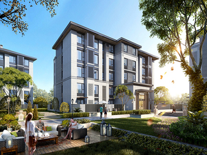 济宁市·济州古城·香樟园