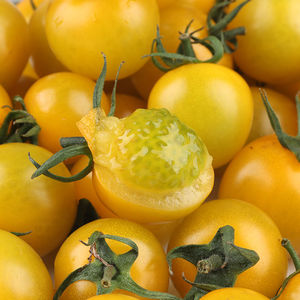 夏日阳光黄色樱桃小番茄水果圣女果新鲜黄妃小西红柿生吃孕妇蔬菜