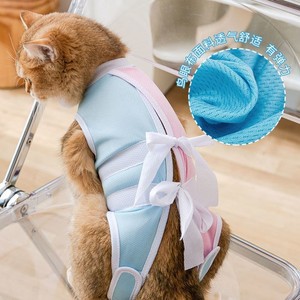 猫咪手术衣母猫手术服夏季薄款术后防舔防掉毛宠物断奶衣服
