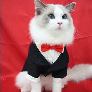 布偶猫衣服泰迪衣服纯棉西装燕尾礼服黑色绅士气t质西服领结宠物