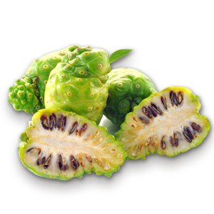 诺丽果新鲜水果