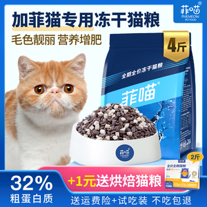 加菲猫专用猫粮冻干幼猫美毛增肥食品用品宠物猫咪吃的主食营养品