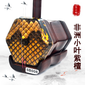 朱云峰二胡非洲小叶紫檀手工蒙皮专业演奏中老年学生入门通用乐器