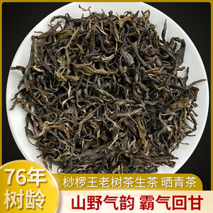 普洱老树茶生普