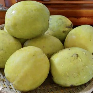 临沧酸木瓜云南特产孕妇水果耿马新鲜老品种野生酸果送蘸水辣椒面