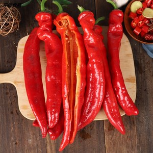 新鲜红长辣椒