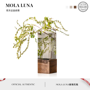 MOLA·Timber·花瓶家用餐桌玻璃摆件水养插花干花装饰花器丨方木