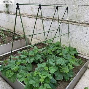 园艺藤蔓植物搭菜架子豇豆角黄瓜丝瓜西瓜爬藤架子立体蔬菜种植架